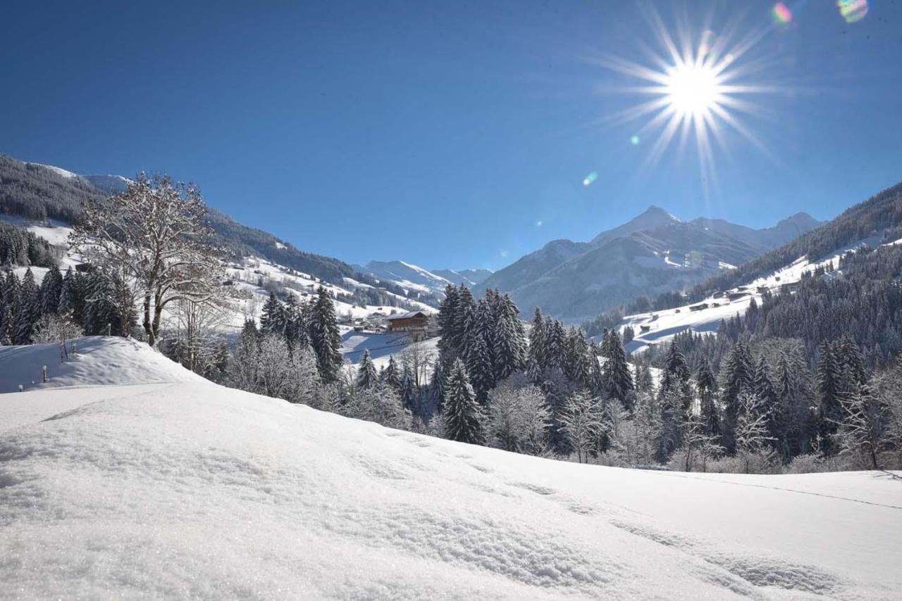 Jaegerhof Apartment Alpbach Luaran gambar